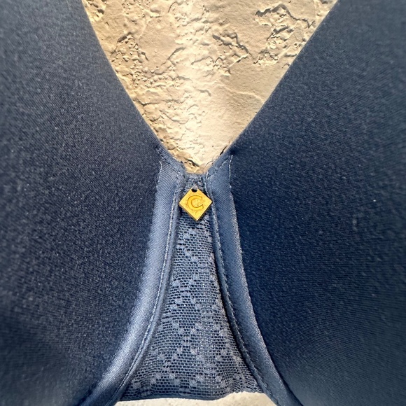 Chantelle Group Blue Lightly Padded Adjustable Bra - Size 38DDD - EUC - Picture 2 of 6